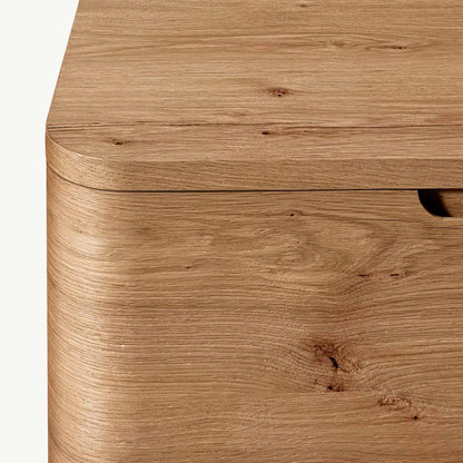 Bor 2-Door Cabinet | IONS DESIGN | RH | Dubai | UAE